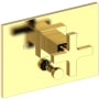 Polished Brass Uncoated (Living)