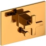 Polished Gold (PVD)