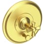 Newport Brass Aylesbury Single Function Pressure Balanced Valve Trim Only with Integrated Diverter and Metal Cross Handle Satin Brass (PVD)