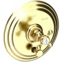 Newport Brass Astor Pressure Balanced Tub & Shower Diverter Plate Forever Brass (PVD)