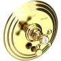 Newport Brass Astor Pressure Balanced Tub & Shower Diverter Plate Polished Brass Uncoated (Living)