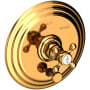 Newport Brass Astor Pressure Balanced Tub & Shower Diverter Plate Polished Gold (PVD)