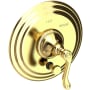 Newport Brass Amisa Pressure Balanced Tub and Shower Diverter Trim - Less Valve Polished Brass Uncoated (Living)