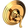 Newport Brass Amisa Pressure Balanced Tub and Shower Diverter Trim - Less Valve Polished Gold (PVD)