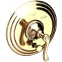 Newport Brass Amisa Pressure Balanced Tub and Shower Diverter Trim - Less Valve French Gold (PVD)