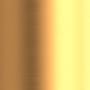 Newport Brass Priya Shower Trim Only Pressure Balanced with Shower Head and Single Lever Handle Satin Gold (PVD)
