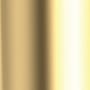 Newport Brass Priya Shower Trim Only Pressure Balanced with Shower Head and Single Lever Handle Polished Brass Uncoated (Living)