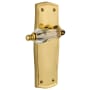 Polished Brass