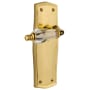 Unlacquered Brass