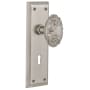 Satin Nickel