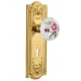 Polished Brass