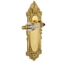Unlacquered Brass