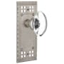 Nostalgic Warehouse Vintage Oval Clear Crystal Privacy Door Knob Set with Solid Brass Long Craftsman Plate and 2-3/8" Backset Satin Nickel