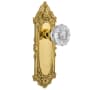 Unlacquered Brass