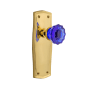 Nostalgic Warehouse Prairie Solid Brass Rose Passage Door Knob Set with Cobalt Crystal Knob for 2-3/4" Backset Unlacquered Brass