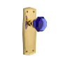 Nostalgic Warehouse Prairie Solid Brass Rose Passage Door Knob Set with Cobalt Waldorf Knob for 2-3/4" Backset Polished Brass