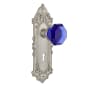 Nostalgic Warehouse Victorian Rose Privacy Door Knob Set with Cobalt Waldorf Knob and Decorative Skeleton Keyhole for 2-3/8" Backset Satin Nickel
