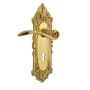 Nostalgic Warehouse Swan Privacy Door Lever Set with Victorian Rose and Decorative Keyhole for 2-3/8" Backset Doors Polished Brass
