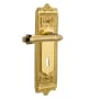 Nostalgic Warehouse Fleur Privacy Door Lever Set with Egg & Dart Rose and Decorative Keyhole for 2-3/4" Backset Doors Polished Brass