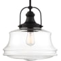 Nuvo Lighting Basel 14" Wide Pendant Matte Black / Clear