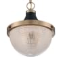 Nuvo Lighting Faro 13" Wide Pendant Burnished Brass / Black Accents
