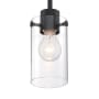 Nuvo Lighting Sommerset 5" Wide Pendant Matte Black