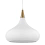 Nuvo Lighting Phoenix 14" Wide Pendant Matte White / Burnished Brass