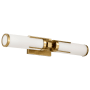 Nuvo Lighting Roselle 2 Light 24" Wide Bath Bar Natural Brass