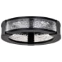 Nuvo Lighting Darrow 14" Wide Flush Mount Ceiling Fixture Matte Black
