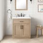 Ove Decors Bailey 30" Free Standing Single Basin Vanity Set with Cabinet and Quartz Vanity Top Sahara Birch