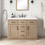 Ove Decors Bailey 48" Free Standing Single Basin Vanity Set with Cabinet and Quartz Vanity Top Sahara Birch
