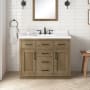 Ove Decors Bailey 42" Free Standing Single Basin Vanity Set with Cabinet and Quartz Vanity Top Driftwood Oak