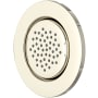 Perrin and Rowe Single Function Round Brass Body Spray Polished Nickel