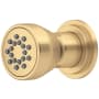 Perrin and Rowe Single Function Round Brass Body Spray Satin English Gold