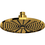Perrin and Rowe Holborn 1.8 GPM Single Function Shower Head Unlacquered Brass