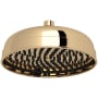Perrin and Rowe 1.8 GPM Single Function Rain Shower Head English Gold