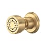 Perrin and Rowe Single Function Round Brass Body Spray Satin English Gold