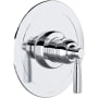 Polished Chrome
