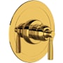 Unlacquered Brass
