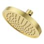 Pfister Contempra 1.75 GPM Single Function Rain Shower Head Brushed Gold