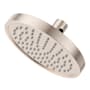 Pfister Contempra 1.75 GPM Single Function Rain Shower Head Brushed Nickel