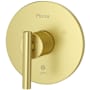 Pfister Contempra Pressure Balanced Valve Trim Only with Single Metal Lever Handle - Less Rough In Brushed Gold