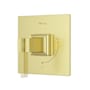 Pfister Verve Pressure Balanced Valve Trim Only - Less Rough In and Handle Brushed Gold