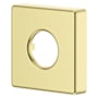 Pfister Modern Square Shower Arm Flange Brushed Gold