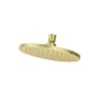 Pfister Modern Round 1.75 GPM Single Function Rain Shower Head Brushed Gold