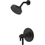 Pfister Winter Park Therm Shower Trim with Round Multi-Function Showerhead, 9" Shower Arm & Flange SD Matte Black