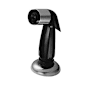 PROFLO Kitchen Side Spray with Hose Black