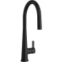 PROFLO Cowan 1.8 GPM Single Hole Pull Down Kitchen Faucet - Includes Escutcheon Matte Black