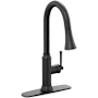 PROFLO Lockmead 1.75 GPM Single Hole Kitchen Faucet Matte Black