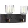 Progress Lighting Rushton 2 Light 16" Wide Bathroom Vanity Light Graphite